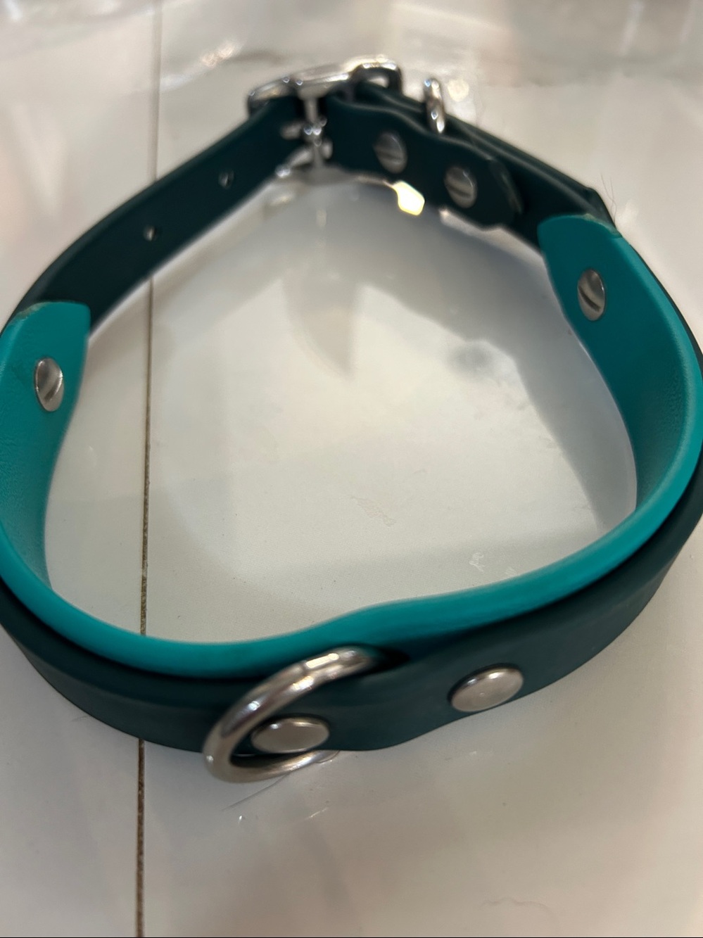 Teal Green Dog Collar with Silver-Tone Hardware